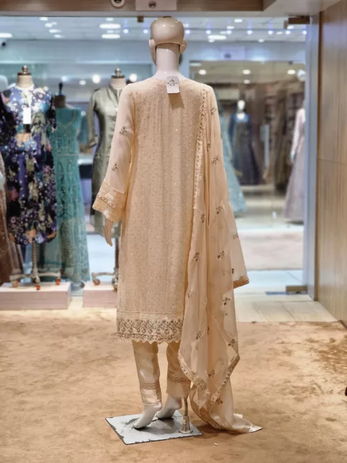 Agha Noor 3pc Chiffon Embroidered Suit ’23 | S108 - Patel Brothers NX 3