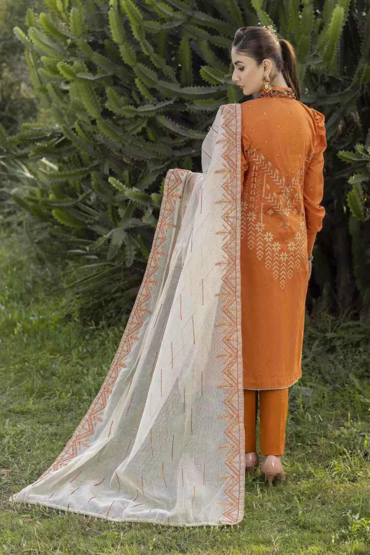 Check-Lawn Fabric with Embroidered Qos-e-Qaza (Spring Edition’23) RJ10 - Patel Brothers NX 5