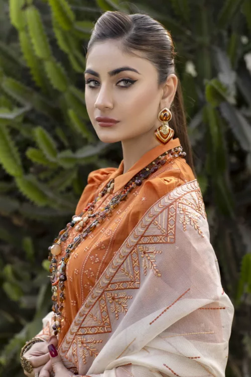 Check-Lawn Fabric with Embroidered Qos-e-Qaza (Spring Edition’23) RJ10 - Patel Brothers NX 4