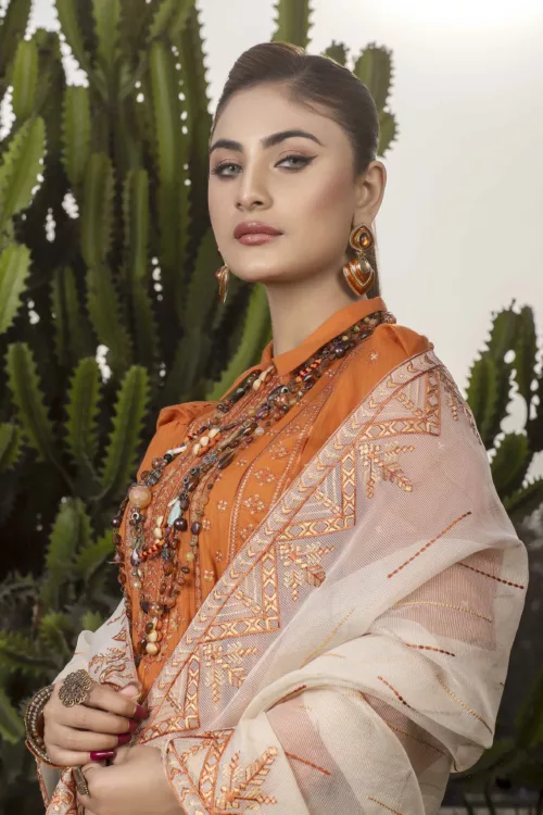 Check-Lawn Fabric with Embroidered Qos-e-Qaza (Spring Edition’23) RJ10 - Patel Brothers NX 2