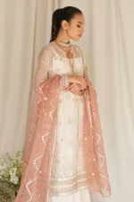Dreamy Tint-4pc Organza Embroidered Suit By Cross Stitch - Patel Brothers NX 15