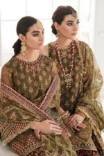 Baroque Chantelle Luxury Embroidered Chiffon | CH10-06 - Patel Brothers NX 15