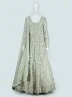 Pastel Green Heavy Embroidered Lakhnavi Bridal Gown | BRD709 - Patel Brothers NX 9