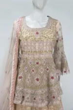 Lemonade Pink Indo-western Style Bridal Gown | BRD444 - Patel Brothers NX 9