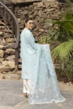 Slub-Lawn Fabric with Embroidered Qos-e-Qaza (Spring Edition’23) | RJ-07 - Patel Brothers NX 9