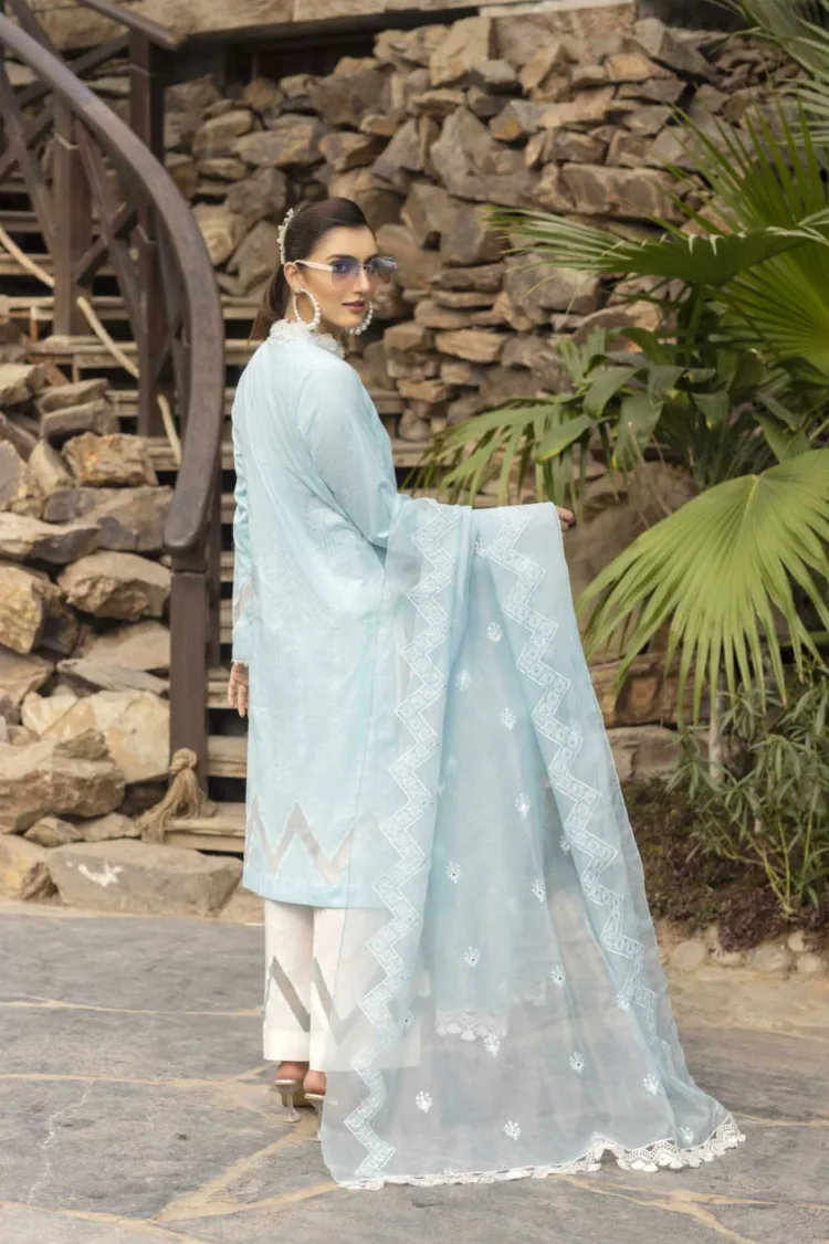 Slub-Lawn Fabric with Embroidered Qos-e-Qaza (Spring Edition’23) | RJ-07 - Patel Brothers NX 4