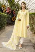 Rib-Lawn Fabric with Embroidered Qos-e-Qaza (Spring Edition’23) RJ03 - Patel Brothers NX 7