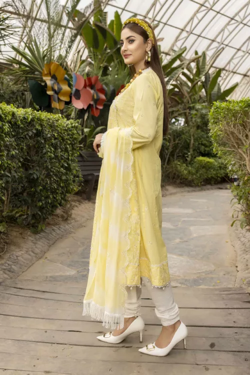Rib-Lawn Fabric with Embroidered Qos-e-Qaza (Spring Edition’23) RJ03 - Patel Brothers NX 3