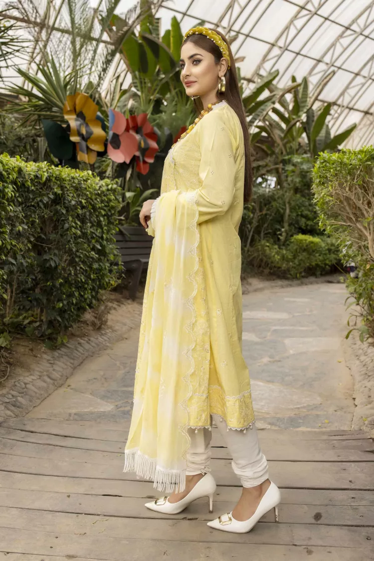 Rib-Lawn Fabric with Embroidered Qos-e-Qaza (Spring Edition’23) RJ03 - Patel Brothers NX 5