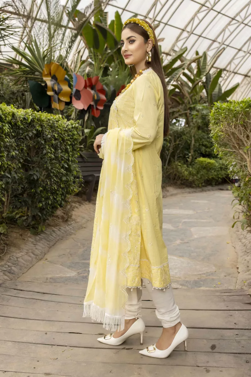 Rib-Lawn Fabric with Embroidered Qos-e-Qaza (Spring Edition’23) RJ03 - Patel Brothers NX 5