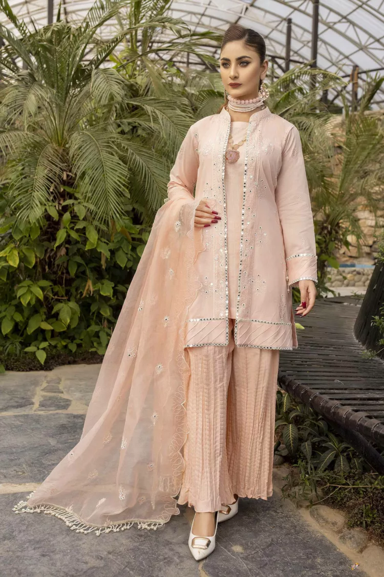Rib-Lawn Fabric with Mirror Embroidered Qos-e-Qaza (Spring Edition’23) RJ08 - Patel Brothers NX 3