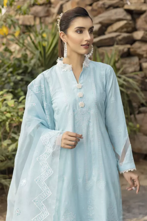 Slub-Lawn Fabric with Embroidered Qos-e-Qaza (Spring Edition’23) | RJ-07 - Patel Brothers NX 3