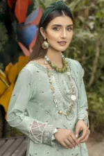 Slub-Lawn Fabric with Sequin Embroidered Qos-e-Qaza (Spring Edition’23) RJ04 - Patel Brothers NX 10