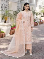 RJ-06 Jaan-e-Adaa by Raji’s Lawn Collection 2023 - Patel Brothers NX 9