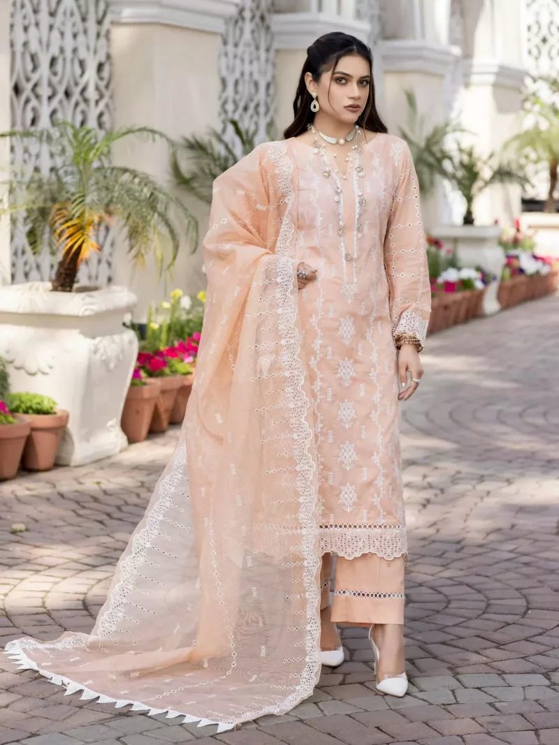 RJ-06 Jaan-e-Adaa by Raji’s Lawn Collection 2023 - Patel Brothers NX 4