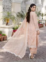 RJ-06 Jaan-e-Adaa by Raji’s Lawn Collection 2023 - Patel Brothers NX 10