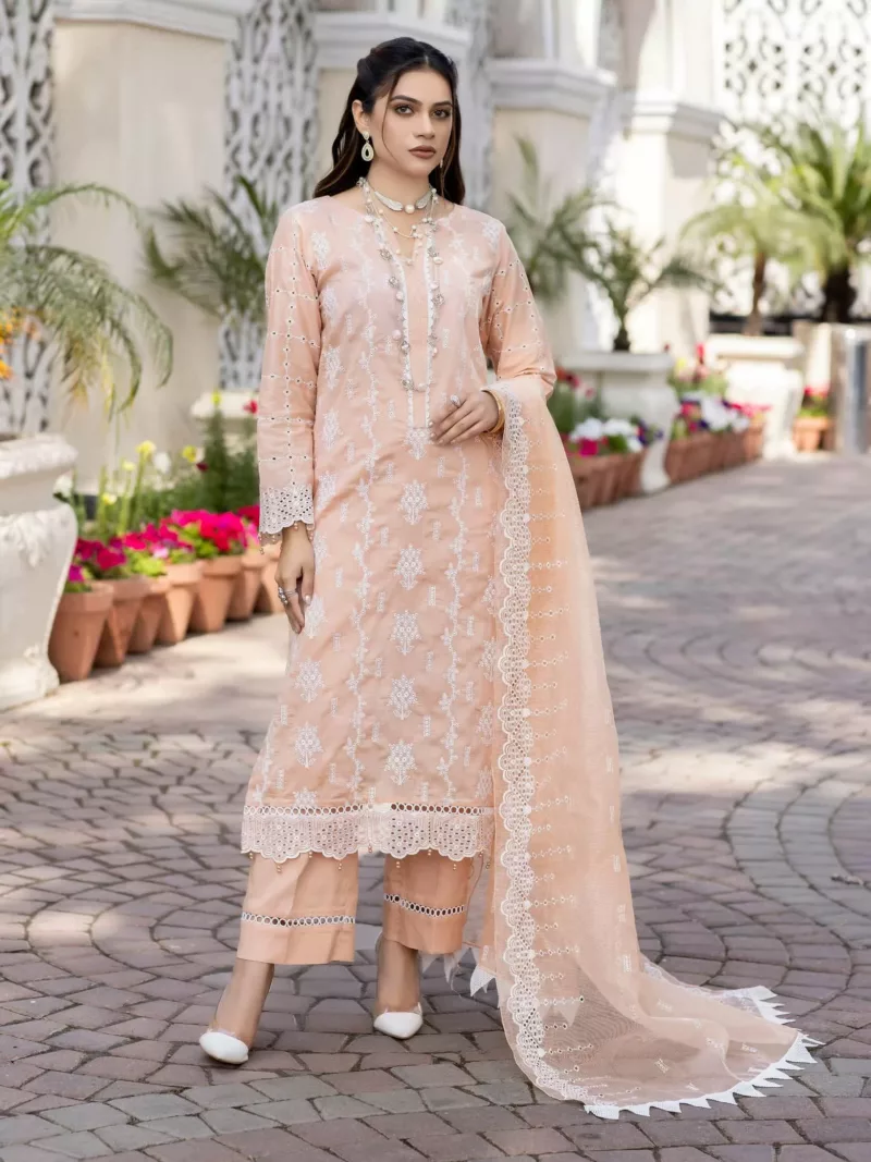 RJ-06 Jaan-e-Adaa by Raji’s Lawn Collection 2023 - Patel Brothers NX 3