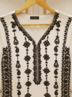Pure Chiffon Beautiful Embroidered Shirt And Pants S106823 - Patel Brothers NX 11
