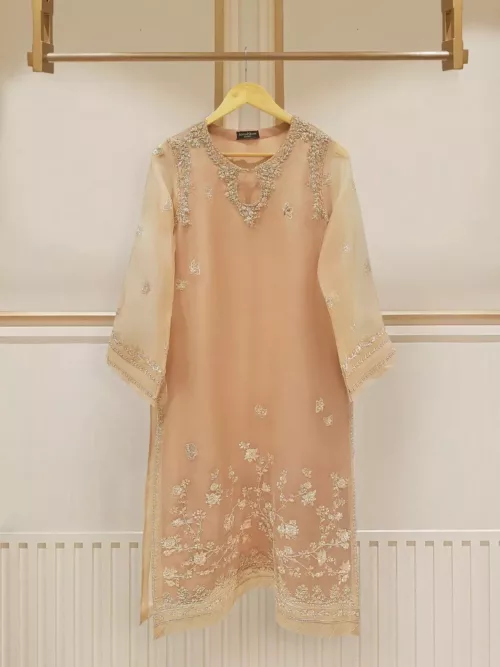 Two Piece Pure Organza Shirt With Dupatta S106550 - Patel Brothers NX 2