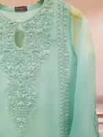 Two Piece Pure Organza Shirt With Dupatta S106613 - Patel Brothers NX 11