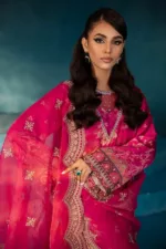 Embroidered Silk Suit S-10 Secretoria by Nureh - Patel Brothers NX 12