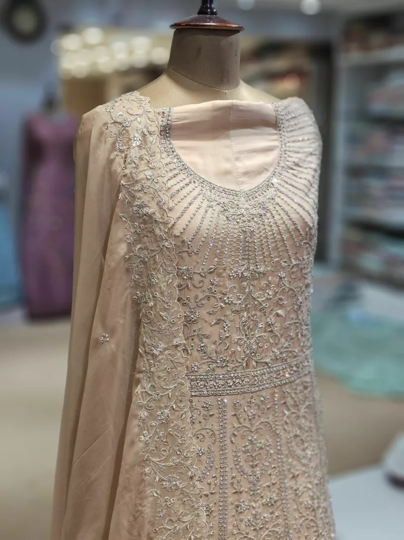 Soft Organza Embroidered Gown | SZA-70 B - Patel Brothers NX 6