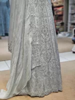 Soft Organza Embroidered Gown | SZA-70 C - Patel Brothers NX 8