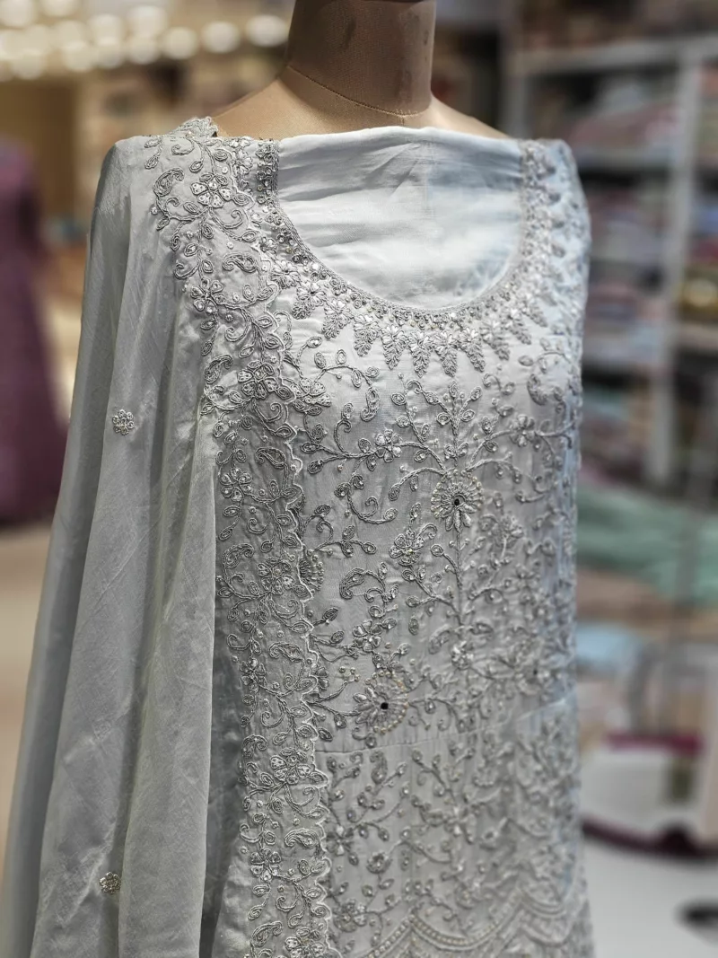 Soft Organza Embroidered Gown | SZA-71 B - Patel Brothers NX 6