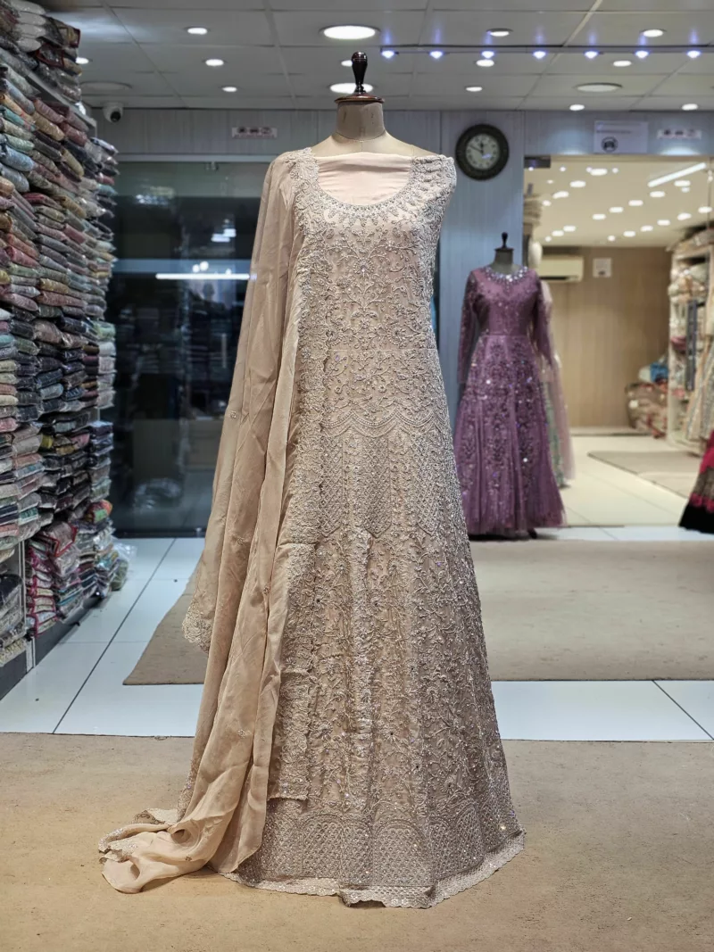 Soft Organza Embroidered Gown | SZA-71 C - Patel Brothers NX 4