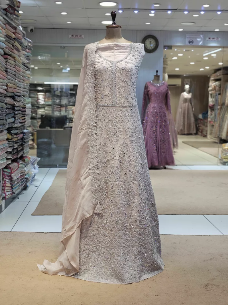 Soft Organza Embroidered Gown | SZA-73 B - Patel Brothers NX 4