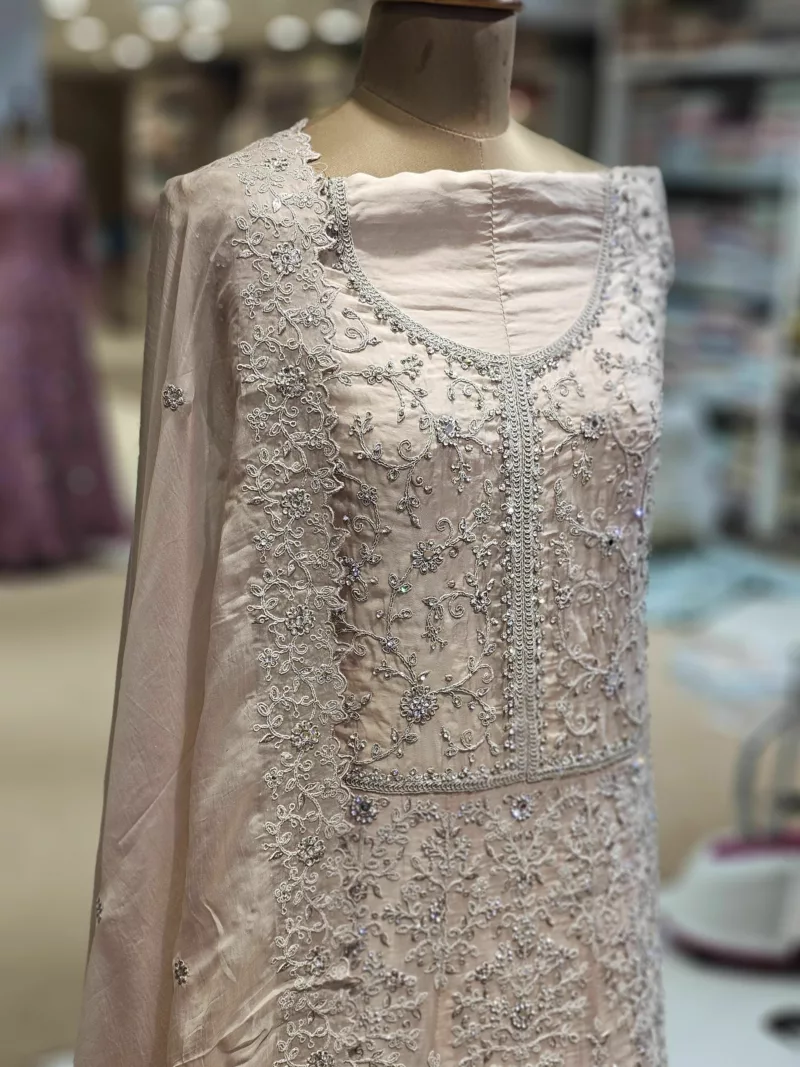 Soft Organza Embroidered Gown | SZA-73 B - Patel Brothers NX 6