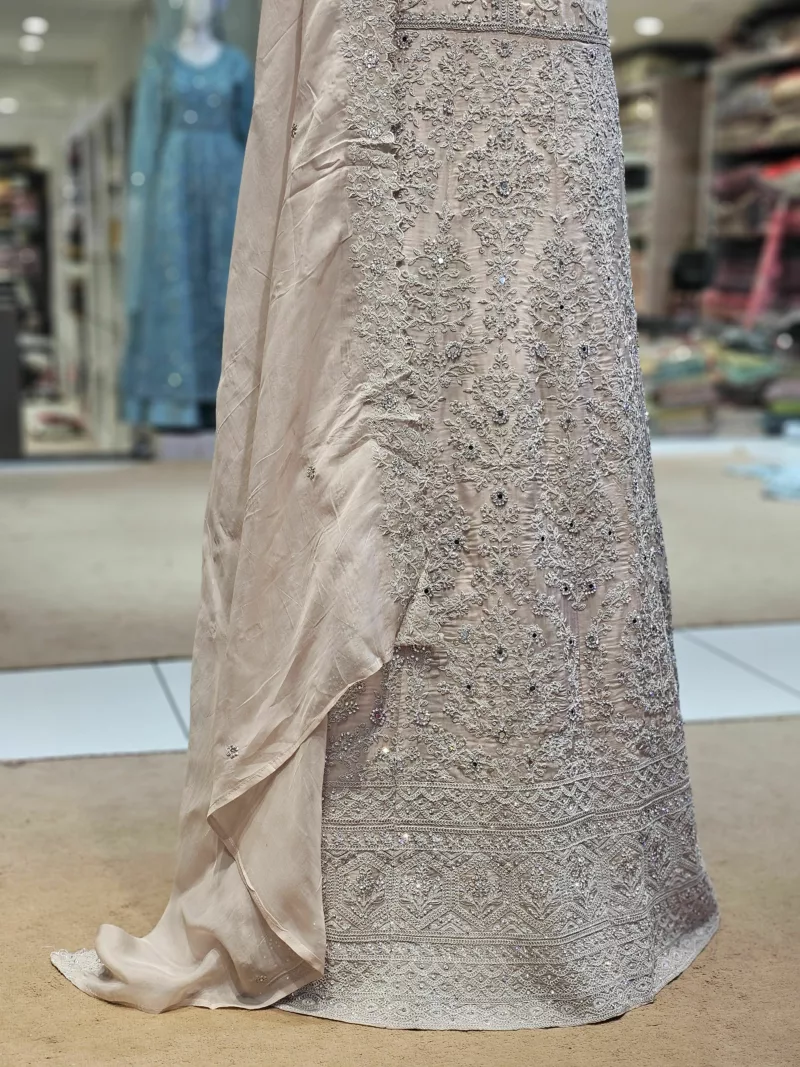 Soft Organza Embroidered Gown | SZA-73 B - Patel Brothers NX 5