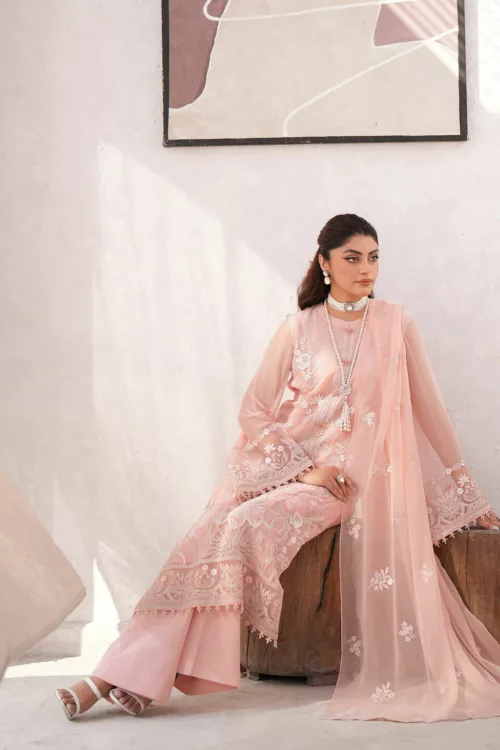 Khus Khas | Embroidered Chiffon | MIRHA K-1502 - Patel Brothers NX 3