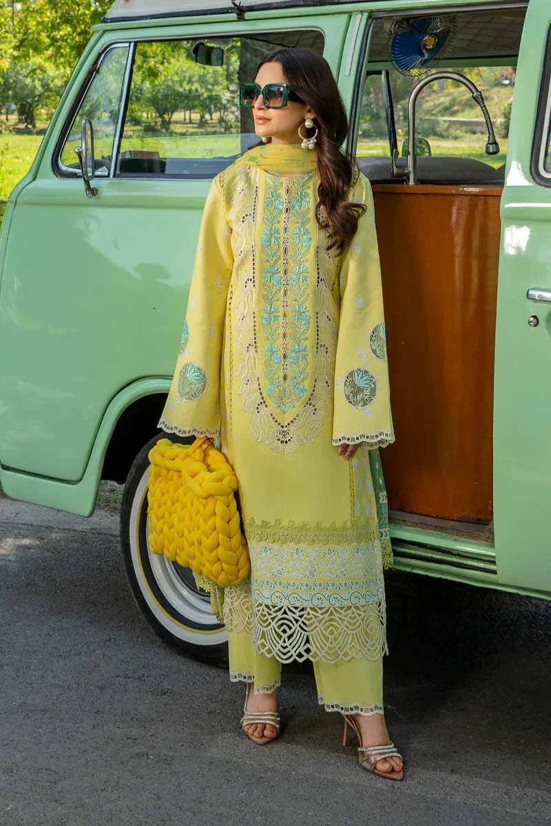 Carnation Festive Edit ’24 by Rang Rasiya / AYLA RR24V05FED07 - Patel Brothers NX 3 Carnation Festive Edit ’24 by Rang Rasiya / AYLA RR24V05FED07 - Patel Brothers NX 3