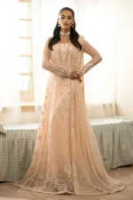 Peach Chiffon Embroidered Long Unstitched Suit with Intricate Detailing - Patel Brothers NX 12