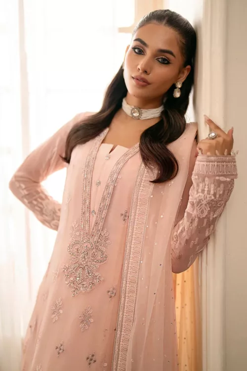 Peach Chiffon Embroidered Long Unstitched Suit with Intricate Detailing - Patel Brothers NX 2