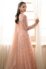 Peach Chiffon Embroidered Long Unstitched Suit with Intricate Detailing - Patel Brothers NX 14