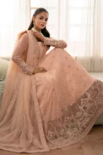 Peach Chiffon Embroidered Long Unstitched Suit with Intricate Detailing - Patel Brothers NX 13