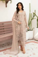 Unstitched Chiffon 3-Piece Suit By Ramsha F-2601 - Patel Brothers NX 9