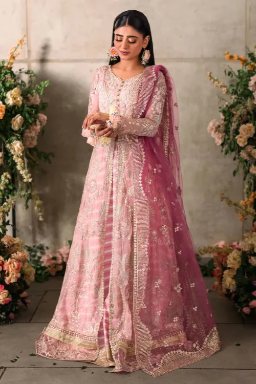 Light Pink Mastani Luxury Chiffon Collection – Maisha by Mushq - Patel Brothers NX