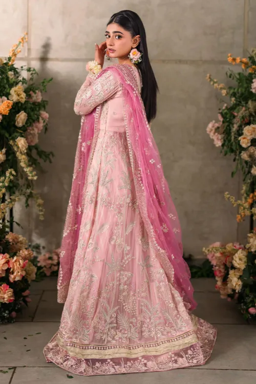 Light Pink Mastani Luxury Chiffon Collection – Maisha by Mushq - Patel Brothers NX 3