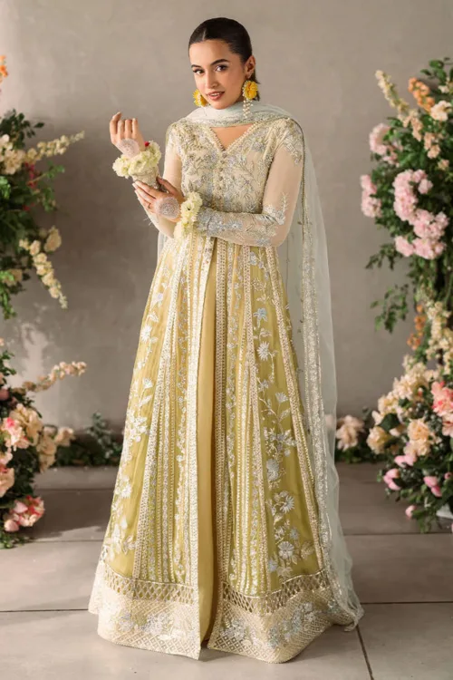 Yellow Mastani Luxury Chiffon Collection – Hira by Mushq - Patel Brothers NX