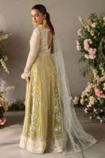 Yellow Mastani Luxury Chiffon Collection – Hira by Mushq - Patel Brothers NX 11