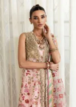 Rose Pink Unstitched Wedding by Crimson X Saira Shakira ’24 | Crystal Chinoiserie CW24-D6 - Patel Brothers NX 12