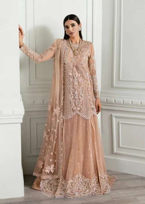 Rose Gold Unstitched Wedding by Crimson X Saira Shakira ’24 | Stardust CW24-D5 - Patel Brothers NX