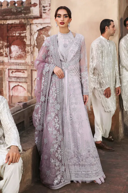 Light Lavender Gray Unstitched Long Maxi Dress by Mehak | Embroidered Organza E-801 - Patel Brothers NX 4