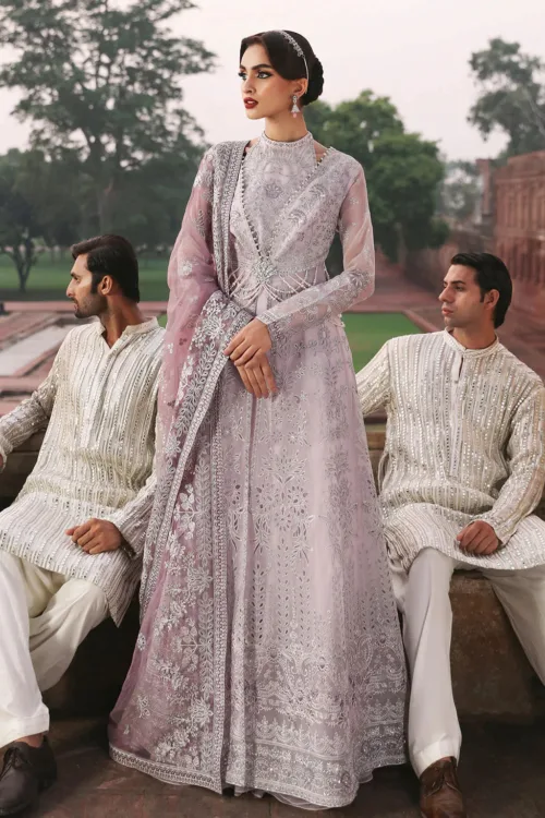 Light Lavender Gray Unstitched Long Maxi Dress by Mehak | Embroidered Organza E-801 - Patel Brothers NX