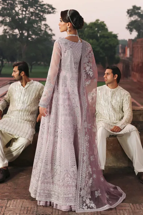 Light Lavender Gray Unstitched Long Maxi Dress by Mehak | Embroidered Organza E-801 - Patel Brothers NX 3