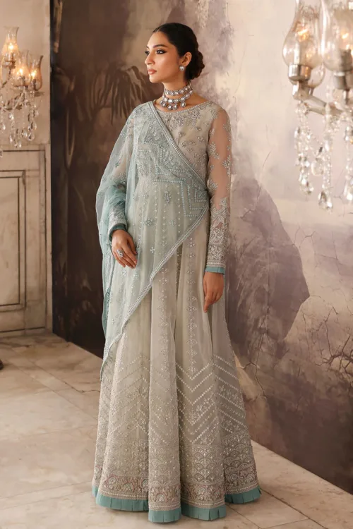 Champagne Gray Unstitched Embroidered Organza Maxi Dress by Mehak | E-803 - Patel Brothers NX 2