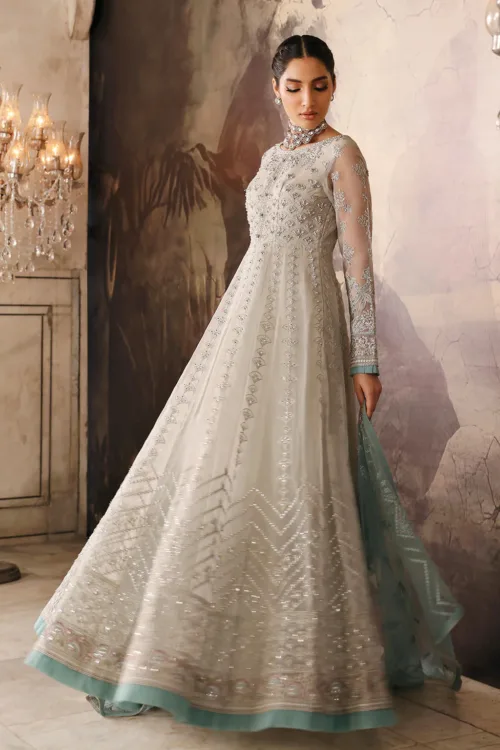 Champagne Gray Unstitched Embroidered Organza Maxi Dress by Mehak | E-803 - Patel Brothers NX